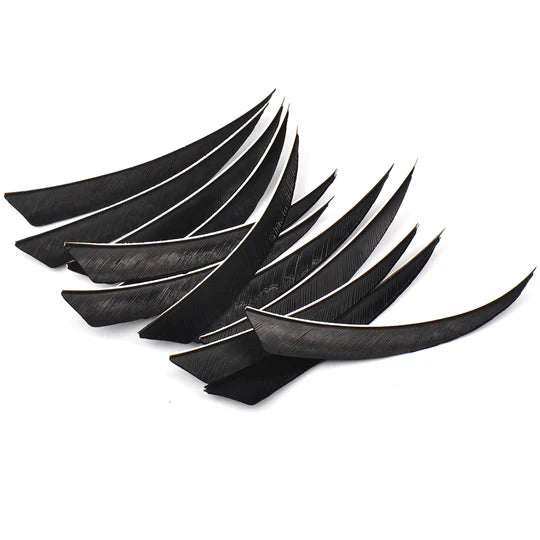 Naturfeder BASIC - Asianbows