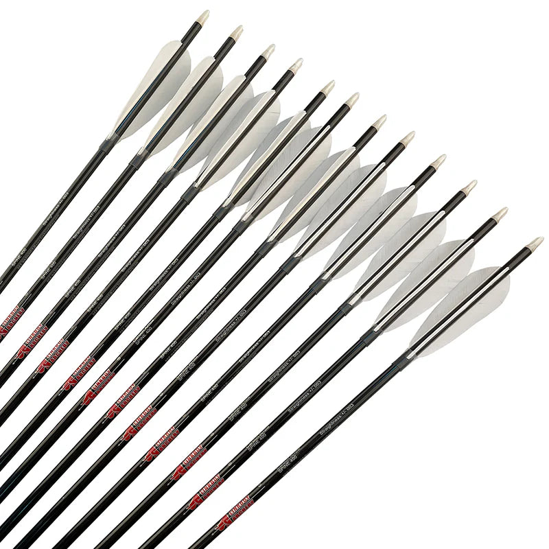 Carbon Komplettpfeil HUNTER - Asianbows