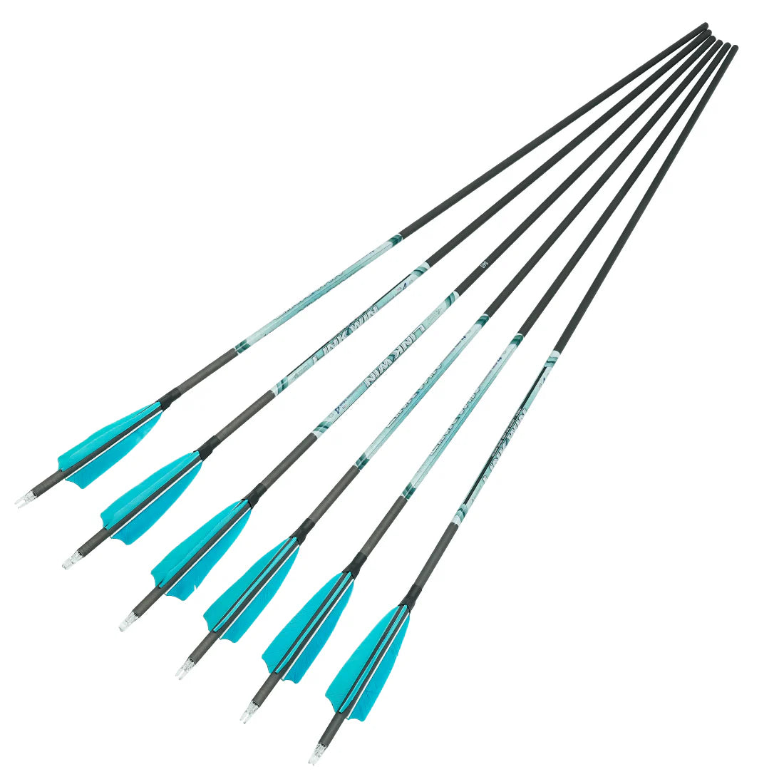 Carbon Komplettpfeil LINK WIN - Asianbows