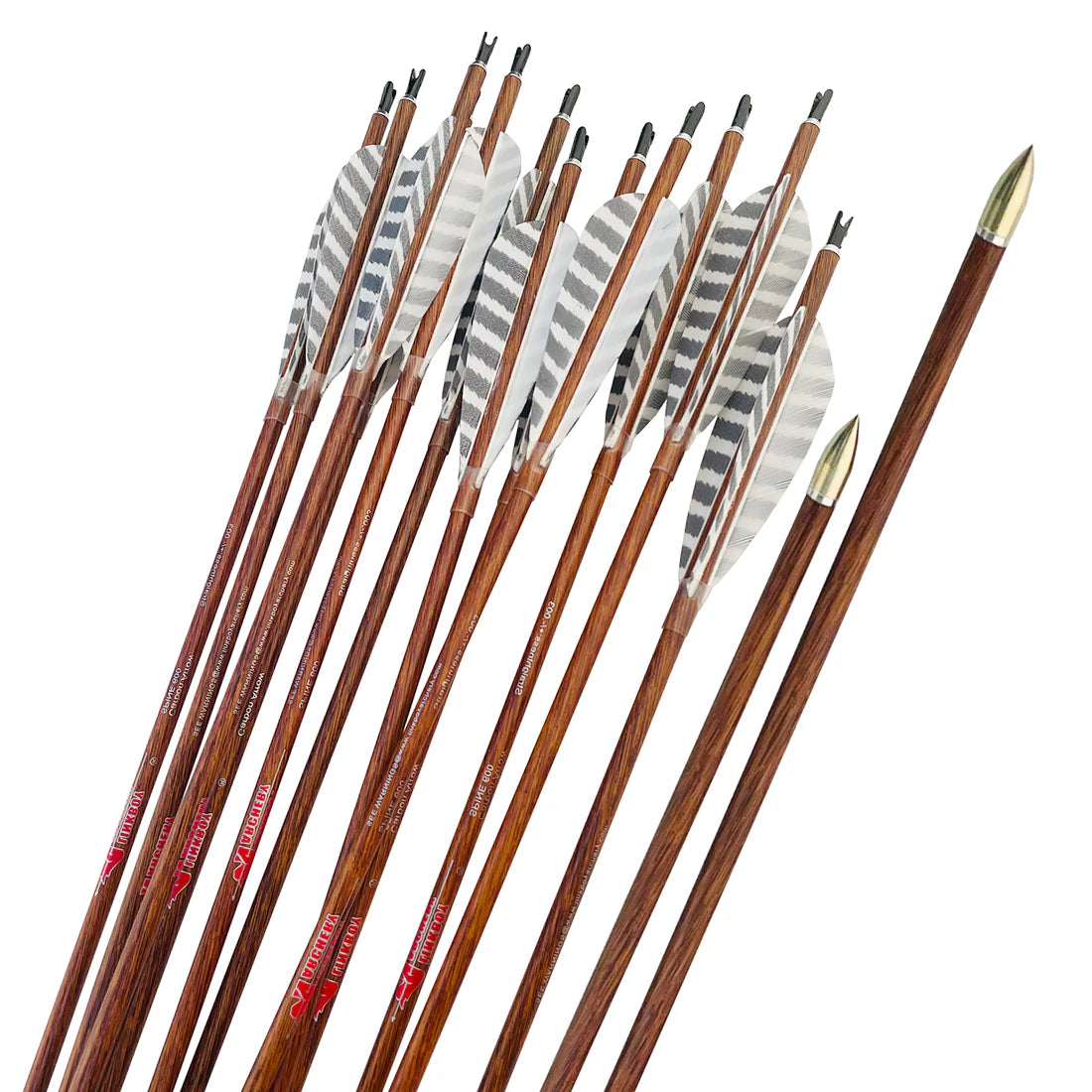 Carbon Komplettpfeil WOODLAND - Asianbows