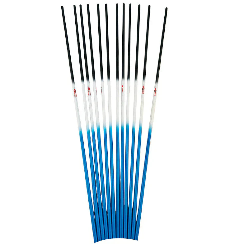 Carbonschaft BLUE - Asianbows