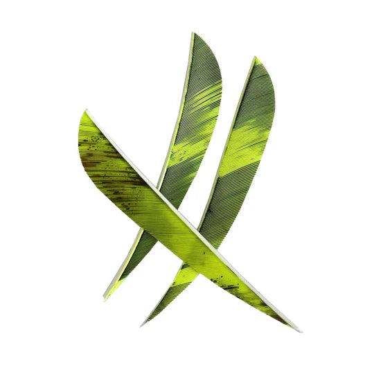 Naturfeder CAMO - Asianbows