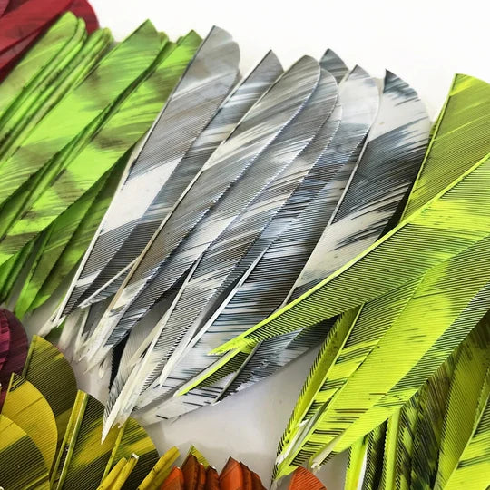 Naturfeder CAMO - Asianbows