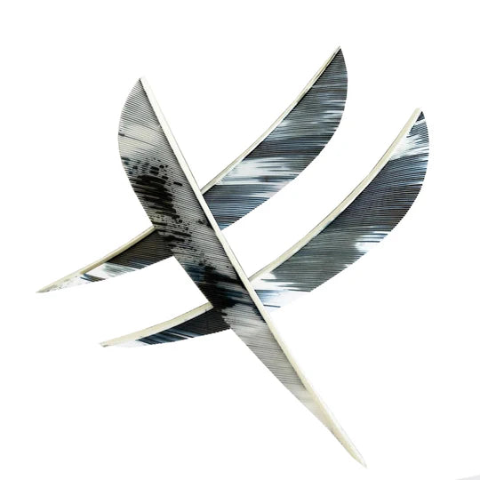 Naturfeder CAMO - Asianbows