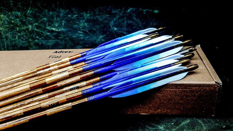 Holzpfeile Blau-Weiß - Asianbows
