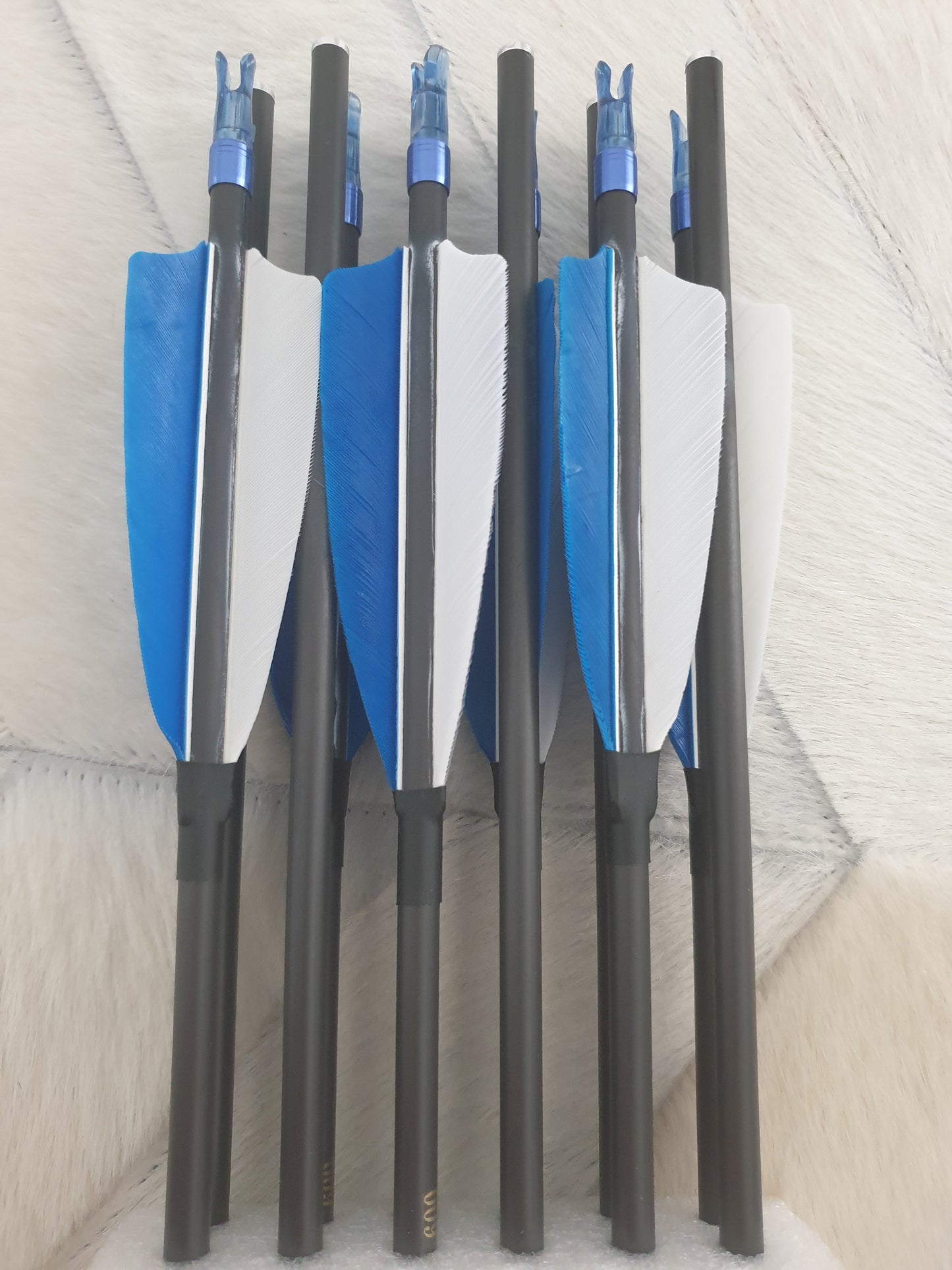 Carbon Komplettpfeil im 12er Set - Asianbows