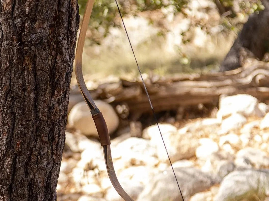 Tatar Reiterbogen ICONIC Raptor RX - Asianbows