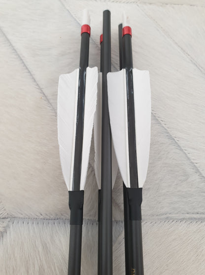 Carbon Komplettpfeil im 12er Set - Asianbows