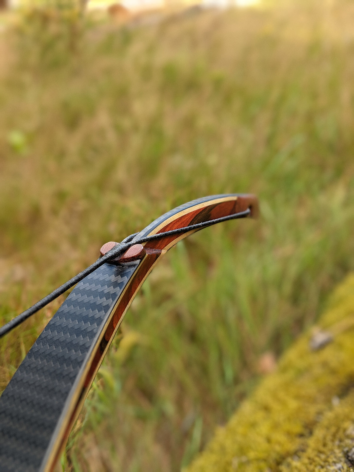Tatar Reiterbogen CARBON Raptor - Asianbows