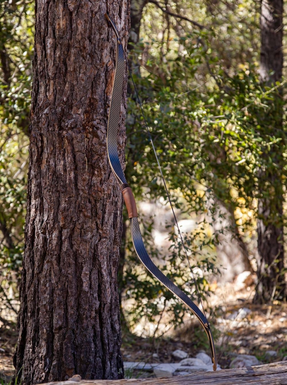 Tatar Reiterbogen CARBON Raptor - Asianbows
